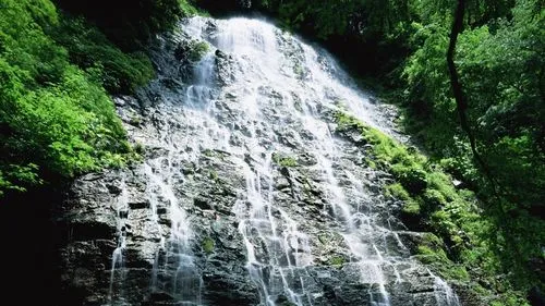 工业高端
